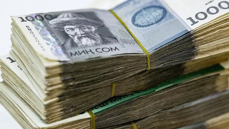 Евро и юань просели к сому, рубль и тенге выросли. Курсы валют на 9 июня