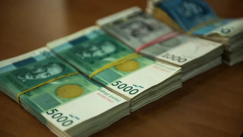 Доходность двухлетних ГКО в Кыргызстане составила 13%