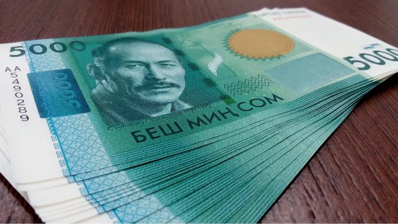 Евро резко просело. Курсы валют в Кыргызстане на 15 мая