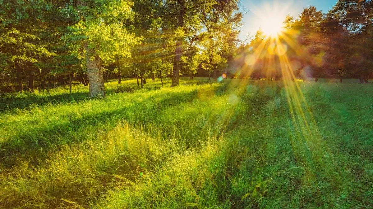 Прогноз погоды на 12 июня. Жара нарастает — в Бишкеке до +33°C