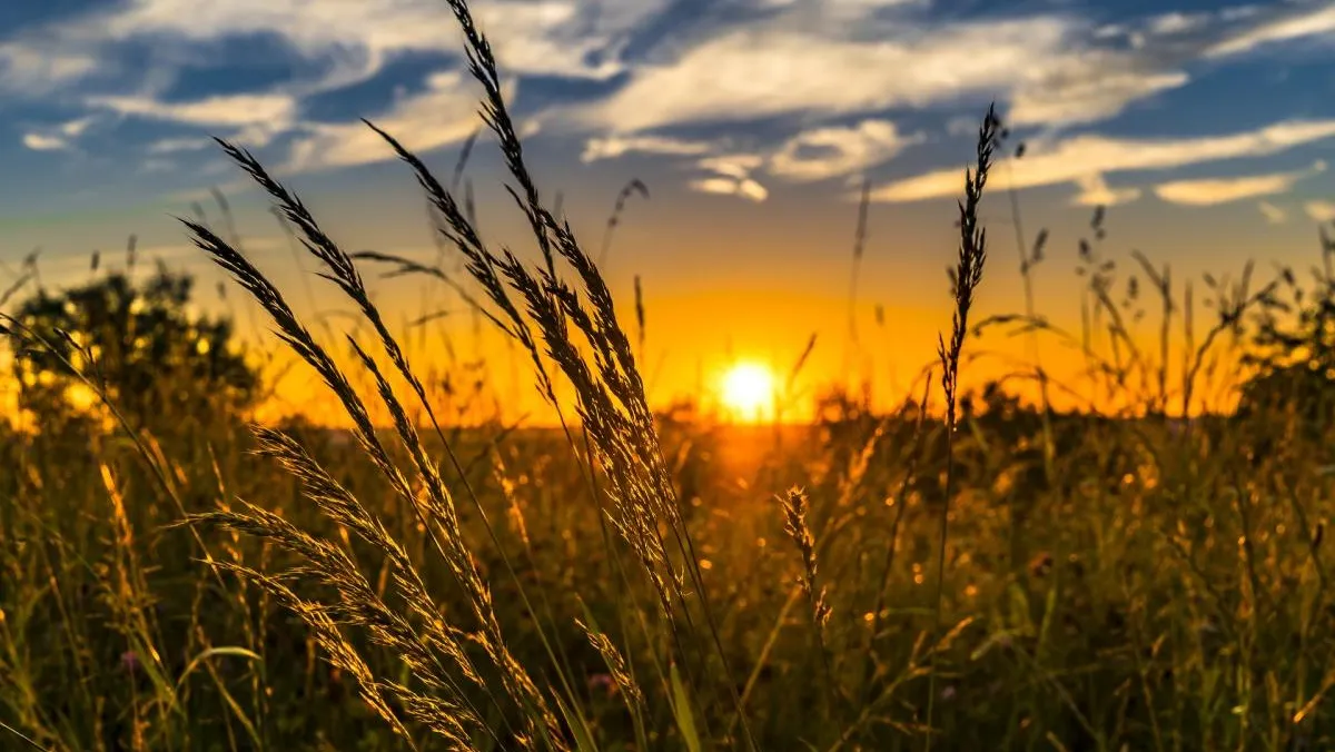 Прогноз погоды на 3 июля. Дожди продолжатся, жара спадёт до +23°C