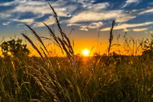 Прогноз погоды на 3 июля. Дожди продолжатся, жара спадёт до +23°C