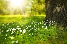 Прогноз погоды на 4 июля. Дождливая суббота в Бишкеке — всего +19°C днём
