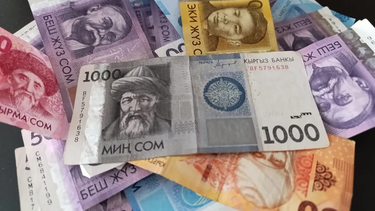 Как я за месяц сэкономила 20 000 сомов при зарплате в 50 000. Личный опыт