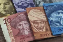 Евро, рубль и тенге укрепились к сому. Курсы валют на 8 июля